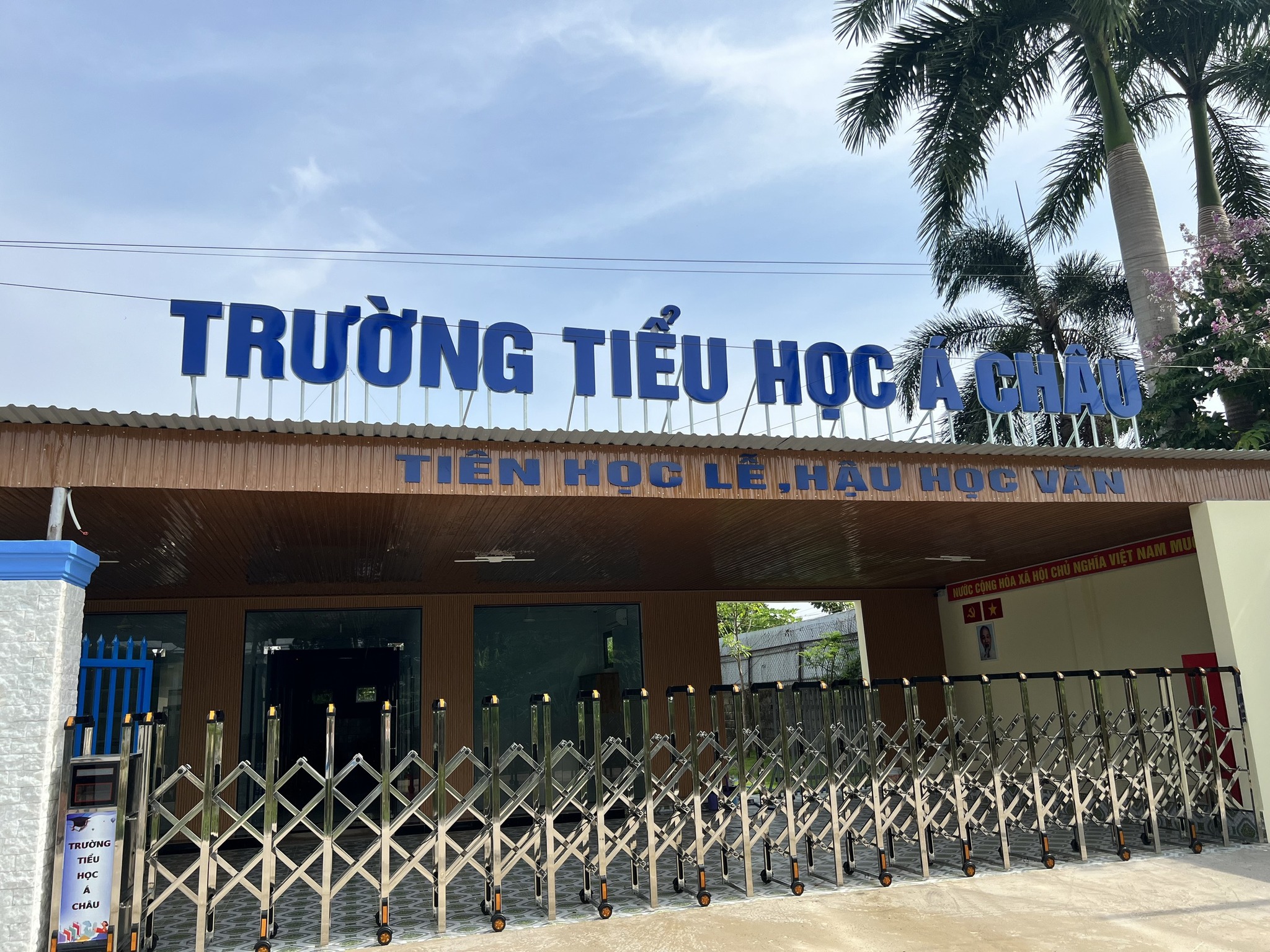 Tiểu học & THCS